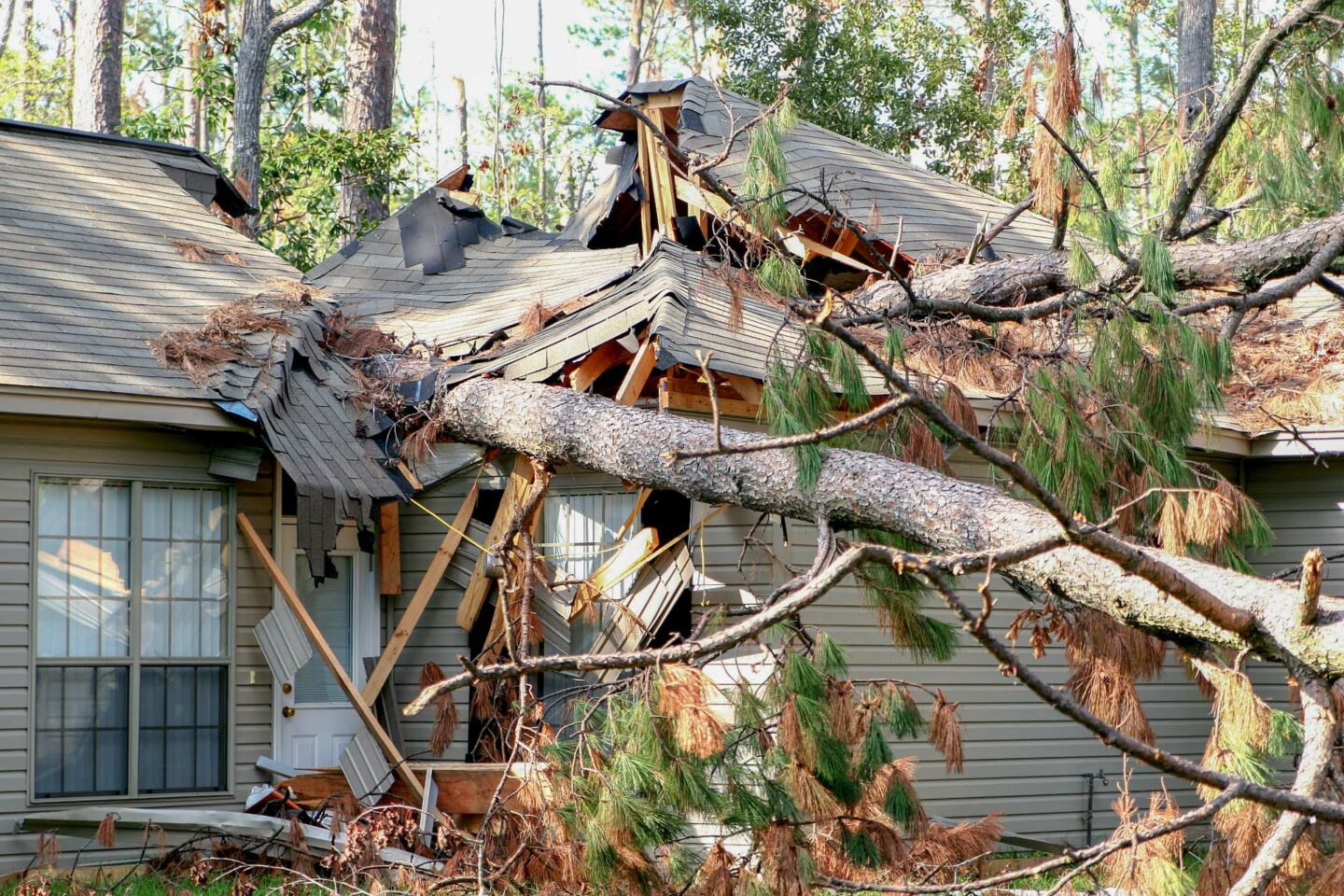 image of a tree that has fallen onto a house and cased damage